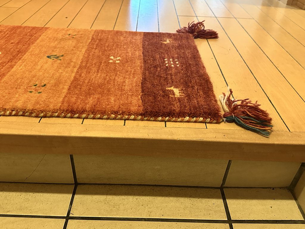 フリンジ付きの玄関マット。吸い込もうとするので出かける前に退ける