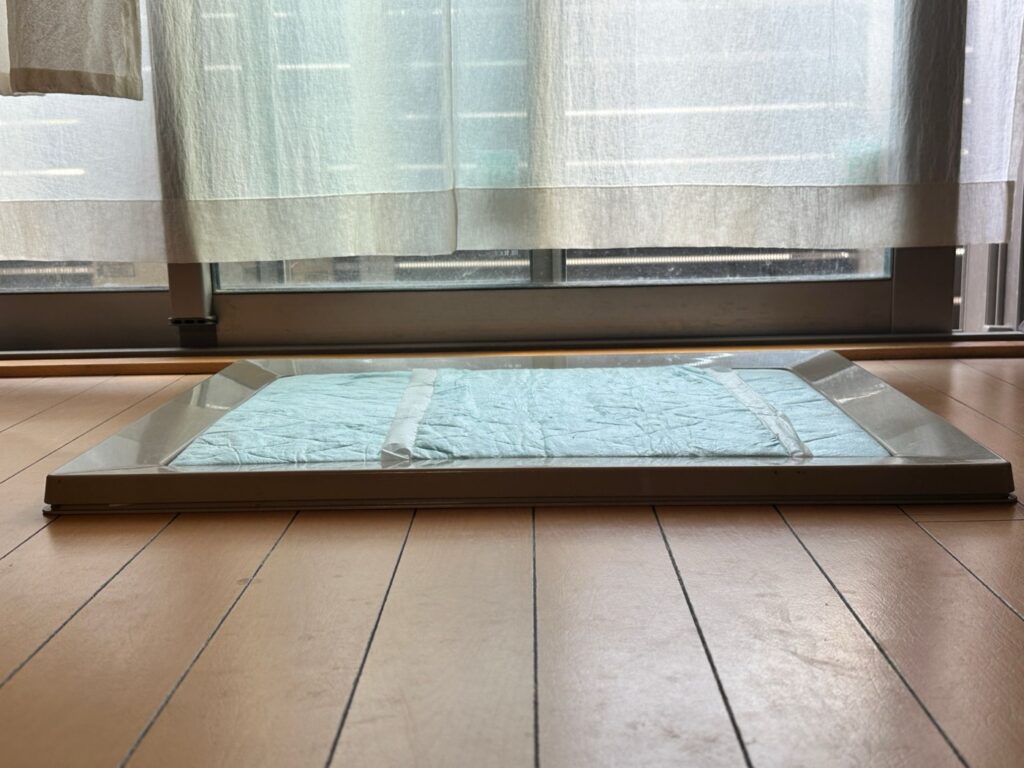 桃のトイレ。枠がスロープになっていて、C10が乗り上げようとする